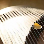 5821 古箏(初班)A Guzheng A