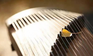5821 古箏(初班)A Guzheng A
