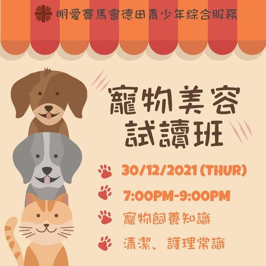  寵物美容試讀班