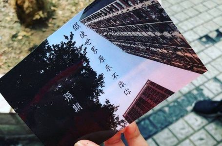 57000746_1139899189504823_1088283071435767808_n